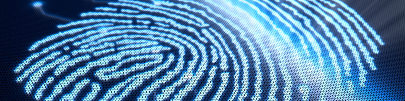 digital image of fingerprint