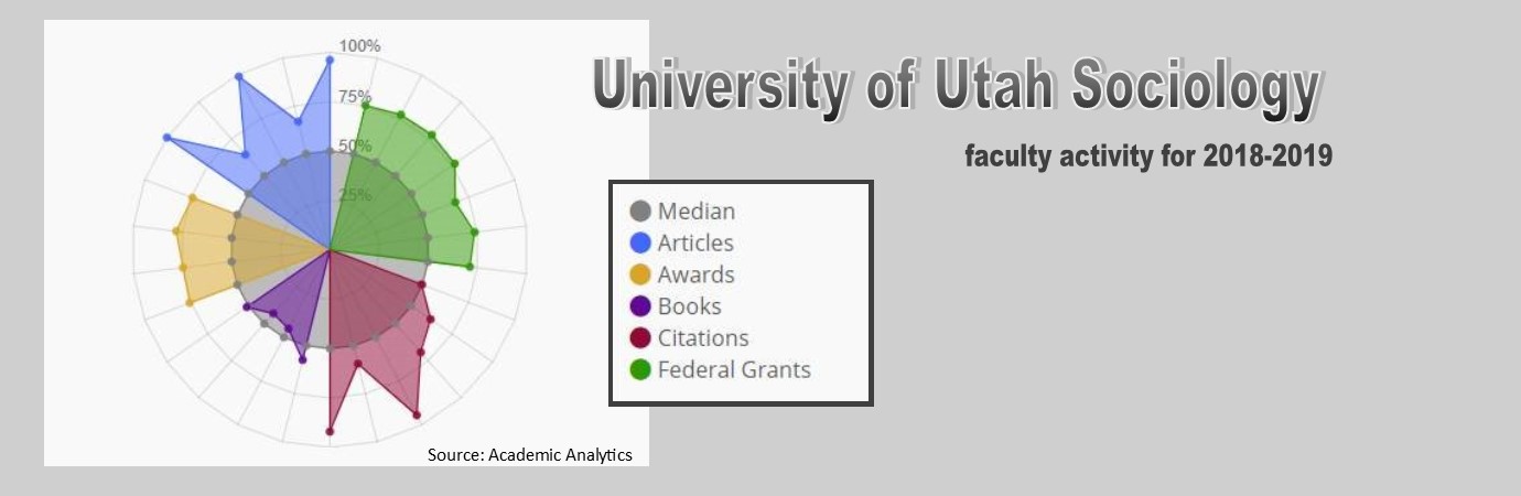 graphic showing above average and high performance on faculty productivy areas such as publishing, grants, and awards